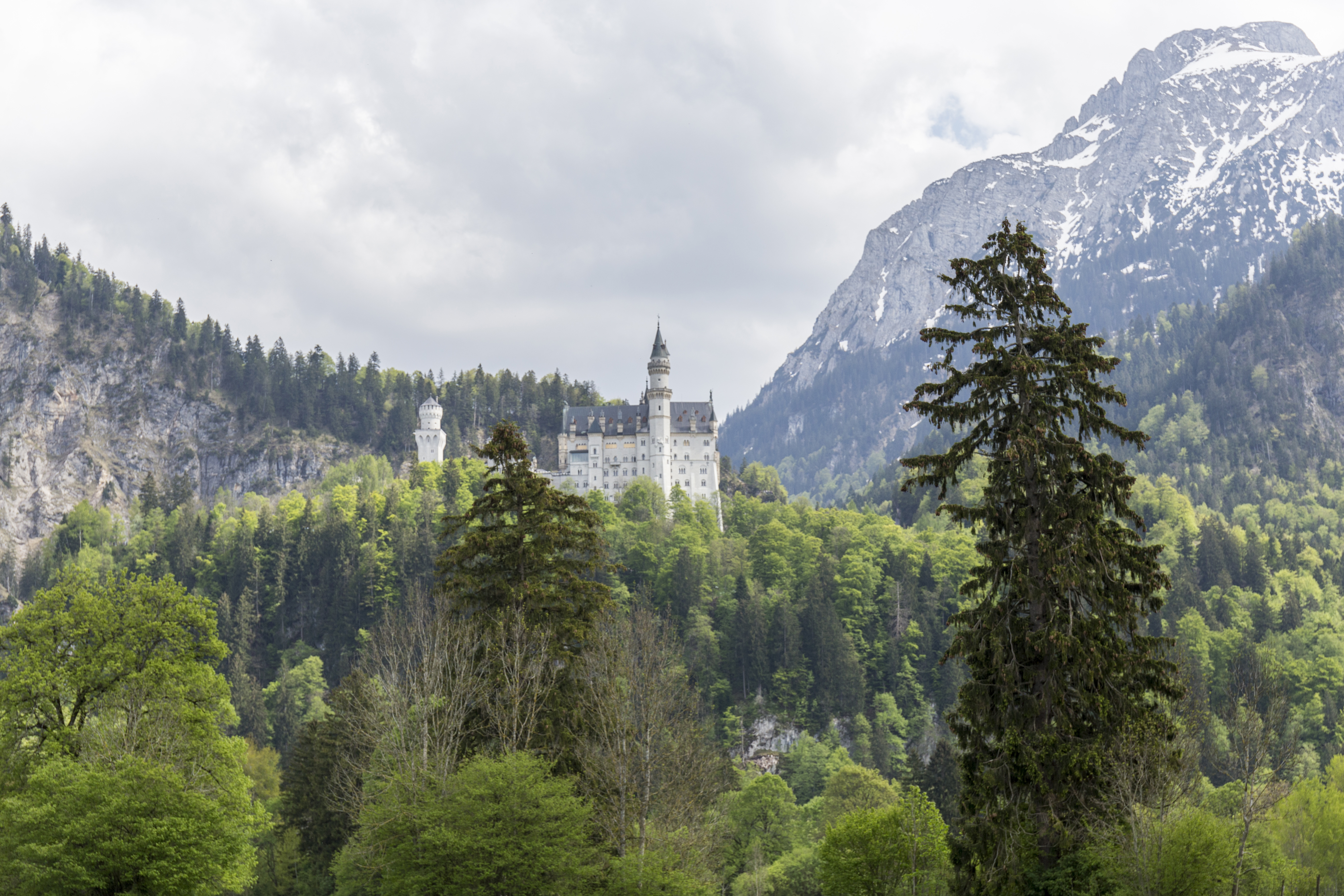 Germany Neuschwanstein Castle - Iconic fairy-tale castle in Bavaria with stunning Alpine backdrop