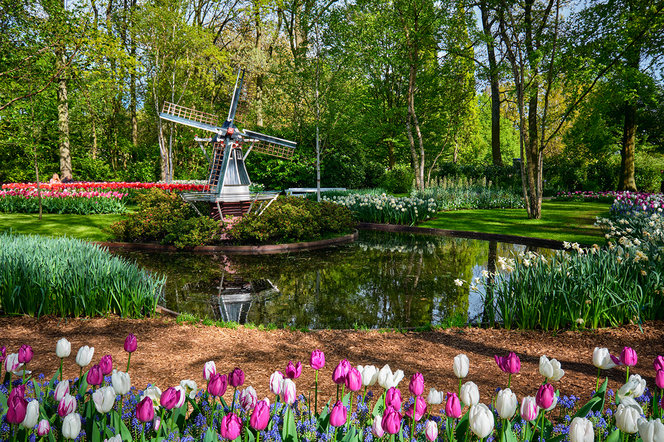 Keukenhof Gardens Netherlands - Spectacular tulip fields and flower gardens